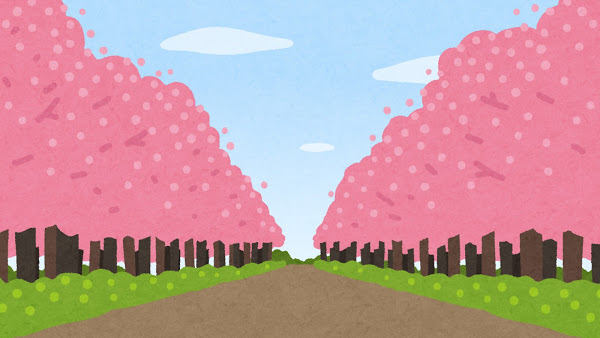 桜並木の画像